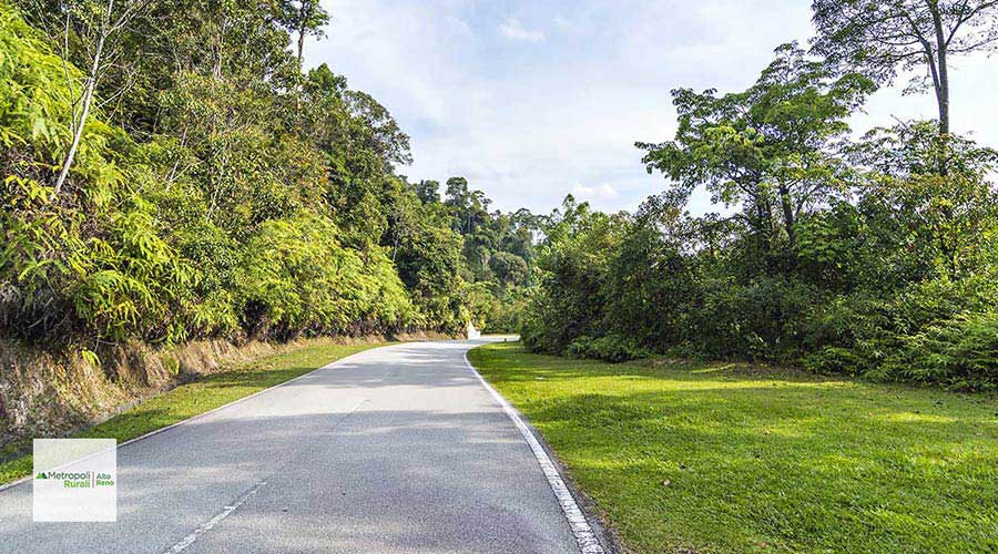 L'importanza della viabilità e l'impatto del maltempo